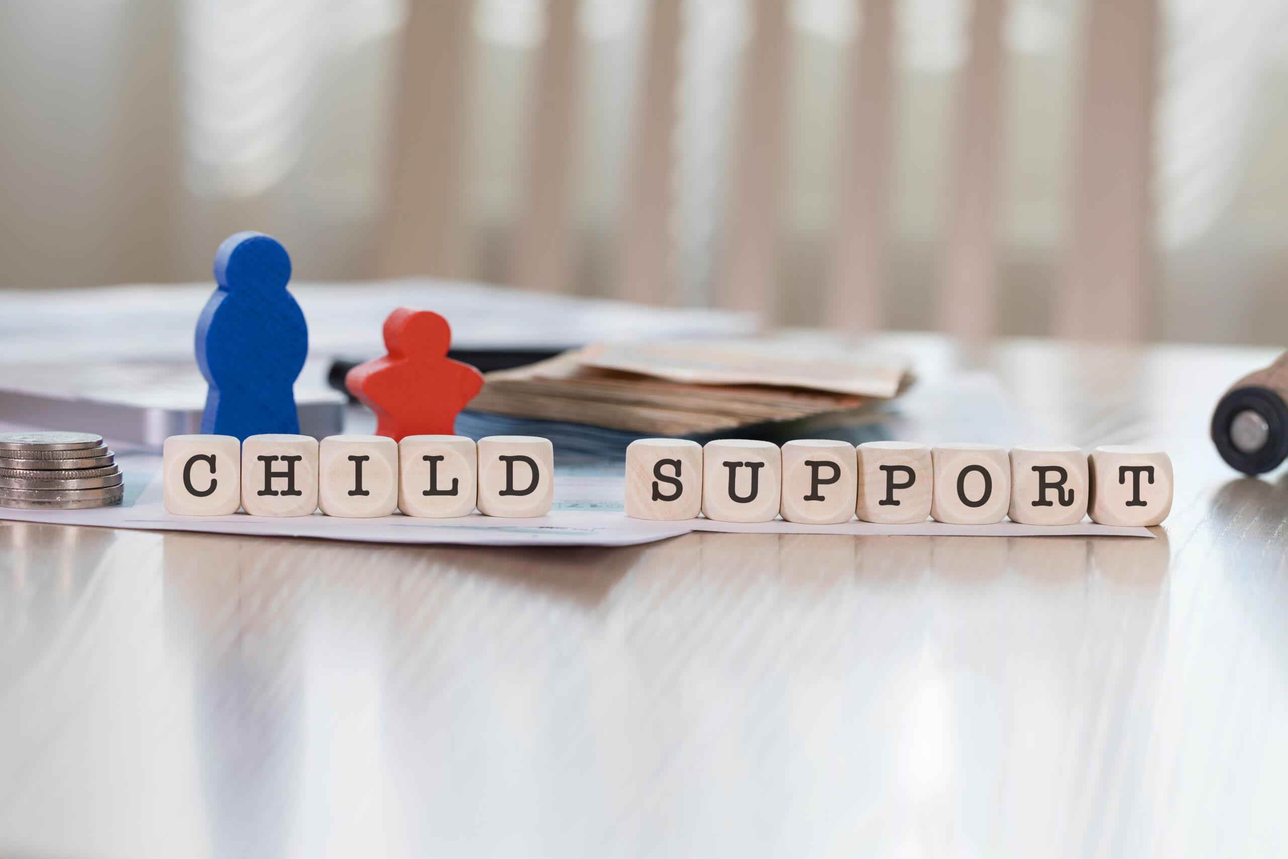 child support options
